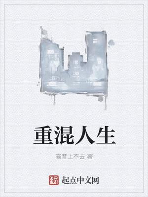 重混人生 重混人生