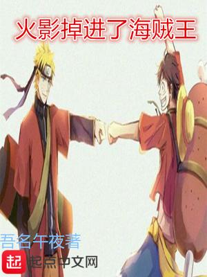 火影掉进了海贼王 火影掉进了海贼王